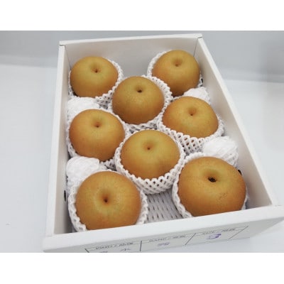 【さとふる限定】品種お任せ和梨3kg(7～12玉)(豊水またはあきづきのどちらか1品種)