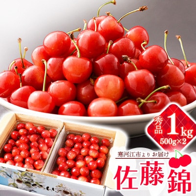 《先行予約》 令和8年産 山形のさくらんぼ 「佐藤錦」1kg 秀品 L以上