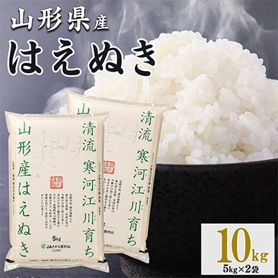 新米【令和8年産】清流寒河江川育ち 山形産はえぬき10kg(5kg×2袋)