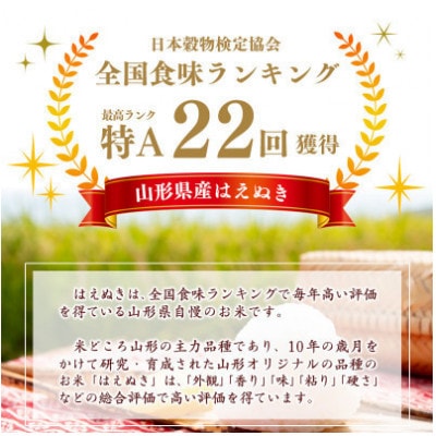 【毎月定期便】はえぬき20kg(5kg×4袋)全3回