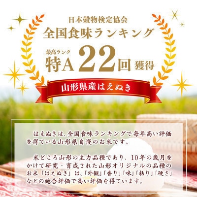 【毎月定期便】はえぬき10kg(5kg×2袋)全3回