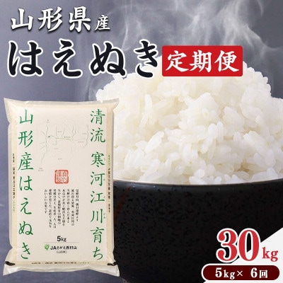 【発送月固定定期便】はえぬき5kg(精米)11月～4月発送 全6回