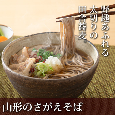 【卯月製麺】山形のさがえそば　10入(20食)010-F-UZ015