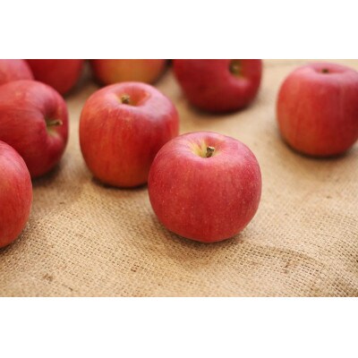 シナノスイート5kg