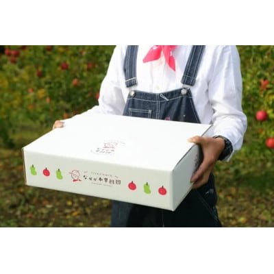 樹上完熟ふじ秀品3kg