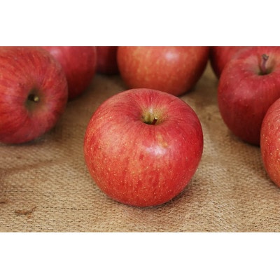 樹上完熟ふじ秀品5kg