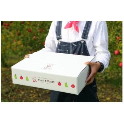 樹上完熟ふじ秀品5kg