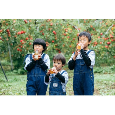 わくわくりんごジュース 6本セット(200ml×6本)