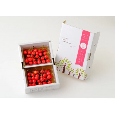 【令和8年産先行予約】朝摘み紅秀峰 3L玉 600g(300g×2パック)