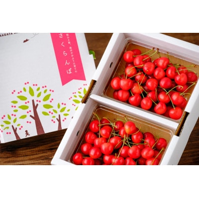 【令和8年産先行予約】朝摘み紅秀峰 3L玉 600g(300g×2パック)