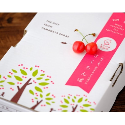 【令和8年産先行予約】朝摘み紅秀峰 3L玉 600g(300g×2パック)