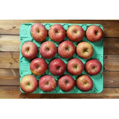 樹上完熟ふじ訳あり 15kg