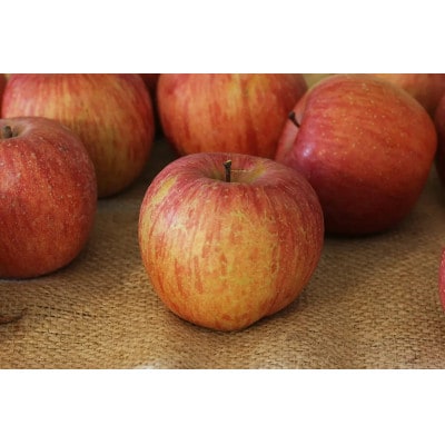 樹上完熟ふじ訳あり 15kg