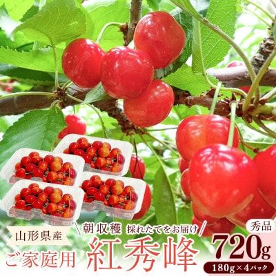 令和8年産 朝穫り!寒河江市産さくらんぼ 紅秀峰 720g 秀品 家庭用 【Re:Farmやまがた】