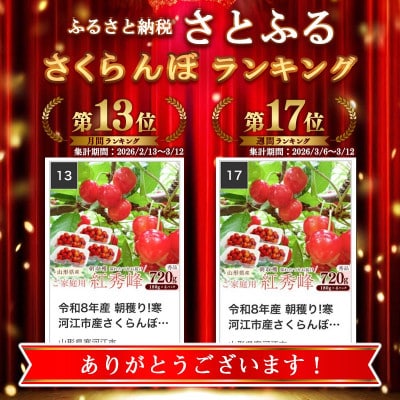 令和8年産 朝穫り!寒河江市産さくらんぼ 紅秀峰 720g 秀品 家庭用 【Re:Farmやまがた】