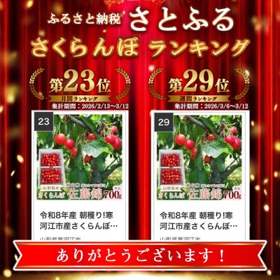 令和8年産 朝穫り!寒河江市産さくらんぼ 佐藤錦 700g 秀品 【Re:Farmやまがた】