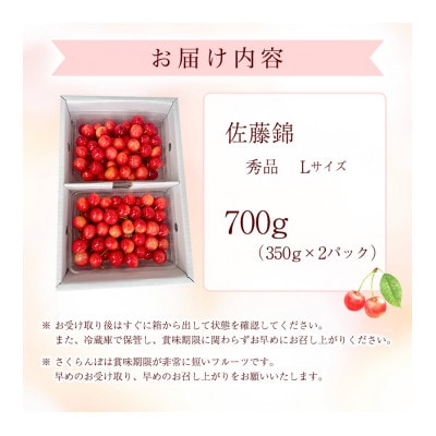 令和8年産 朝穫り!寒河江市産さくらんぼ 佐藤錦 700g 秀品 【Re:Farmやまがた】