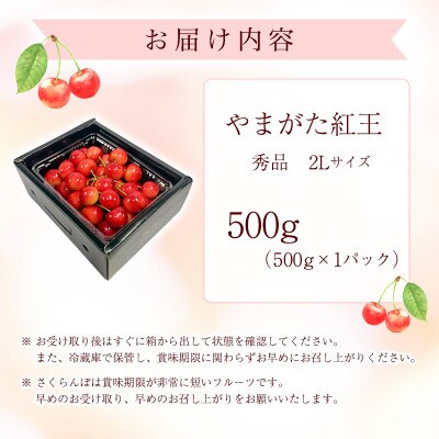 令和8年産 朝穫り!寒河江市産さくらんぼ やまがた紅王 500g 秀品 【Re:Farmやまがた】
