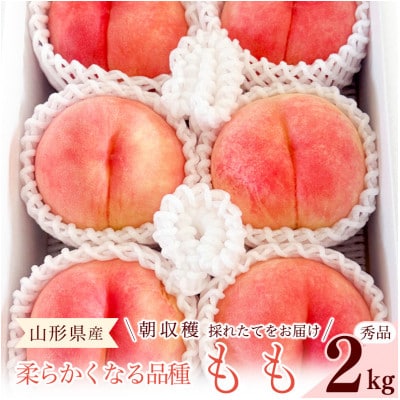 令和8年産 朝穫り! 柔らかくなる白桃 品種おまかせ 秀品 2kg【Re:Farmやまがた】