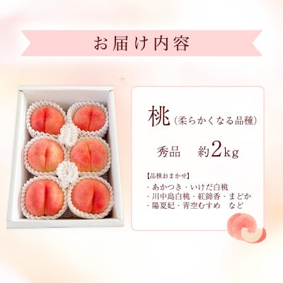 令和8年産 朝穫り! 柔らかくなる白桃 品種おまかせ 秀品 2kg【Re:Farmやまがた】