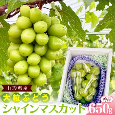 令和8年産　山形県産 シャインマスカット 秀品 約650g(1房) 【Re:Farmやまがた】