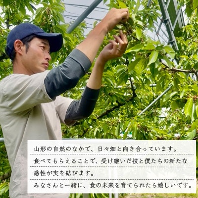 令和8年産 ラ・フランス 2kg 山形県産【Re:Farmやまがた】