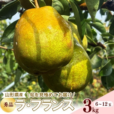 令和8年産 ラ・フランス 3kg 山形県産【Re:Farmやまがた】