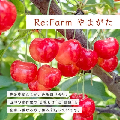 令和8年産 ラ・フランス 3kg 山形県産【Re:Farmやまがた】