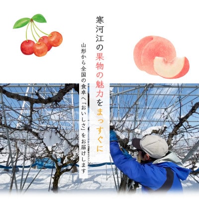 令和8年産 ラ・フランス 3kg 山形県産【Re:Farmやまがた】
