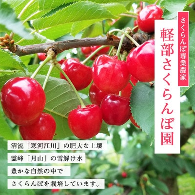 【先行予約】山形県産 さくらんぼ 佐藤錦 L 秀品(ばらパック詰)500g×2パック[計1kg]