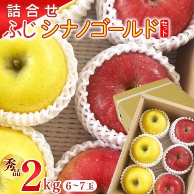 【先行予約】令和8年産《詰合せ》りんご2種 ふじ シナノゴールド 秀品 計2kg (計6‐7玉)