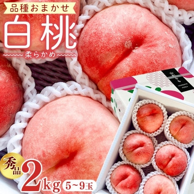 【先行予約】令和8年産 白桃 柔らかめの桃 秀品 2kg (5玉-9玉) 品種おまかせ 山形県産