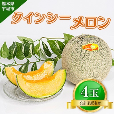 クインシーメロン 4玉入り 合計約5kg【2025年4月下旬から5月上旬発送予定】
