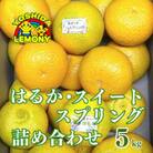 先行予約 はるか・スイートスプリング詰め合わせ 5kg