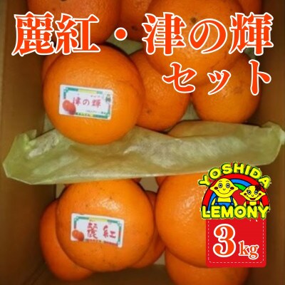 れいこう・津のかがやき　セット