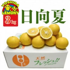 日向夏(ひゅうがなつ)　3kg