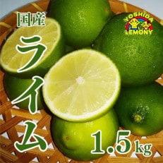 国産ライム 1.5kg