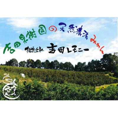 レモン果汁150ml　4本セット