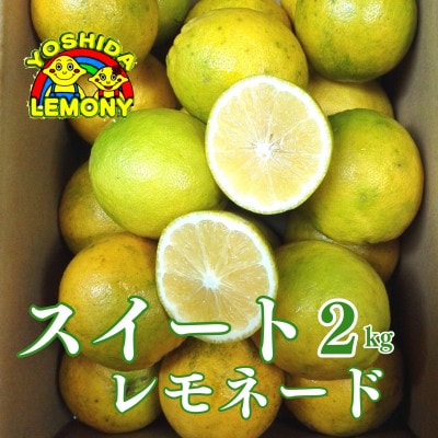 食べるレモン スイートレモン 2kg【 _商品画像