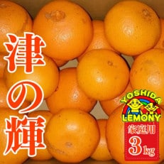 津の輝 3kg(家庭用)(約15～25個)