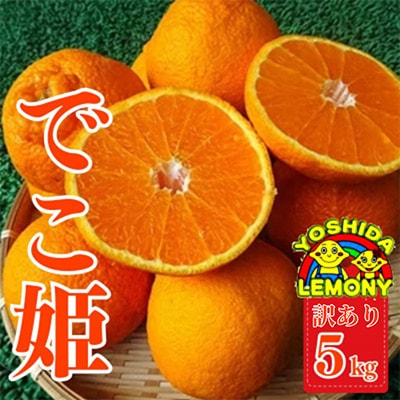 先行予約 不知火 でこ姫5kg(13～22玉)  【訳あり】