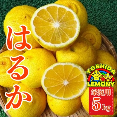 はるか みかん5kg(20～30玉)家庭用