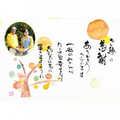 はるか みかん5kg(20～30玉)家庭用