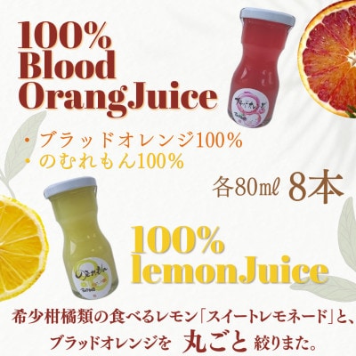 のむれもん・ブラッドオレンジ　80ml　8本セット