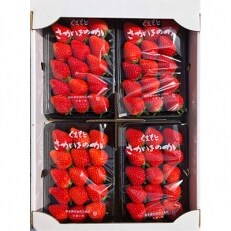 【3月発送】季節限定!新鮮朝摘みいちご「さがほのか」250g×4パック