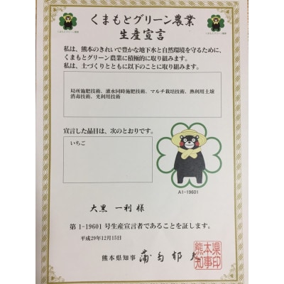 【2月より順次発送】採れたて朝摘みいちご「さがほのか」1.5kg