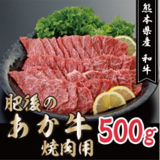 肥後の赤牛　焼肉用　500g(熊本県産和牛)G-4