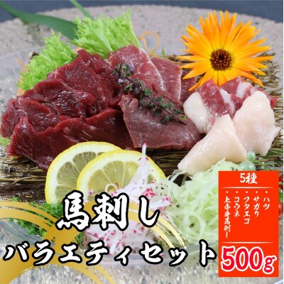 馬刺し5種バラエティーセット500g(宇城市)