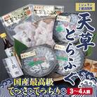 1日25セット限定!天草とらふぐてっさ・てっちり贅沢セット(3～4人前)(宇城市)