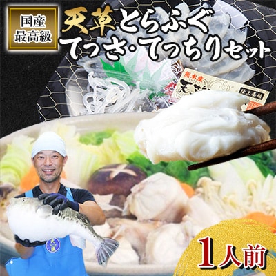 1日25セット限定!天草とらふぐてっさ・てっちりセット(1人前)(宇城市)